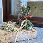 Haflingerstall * Neudiehman