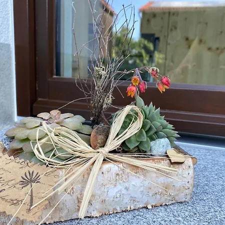 Haflingerstall * Neudiehman