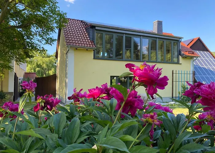 بيت للعطل Haflingerstall