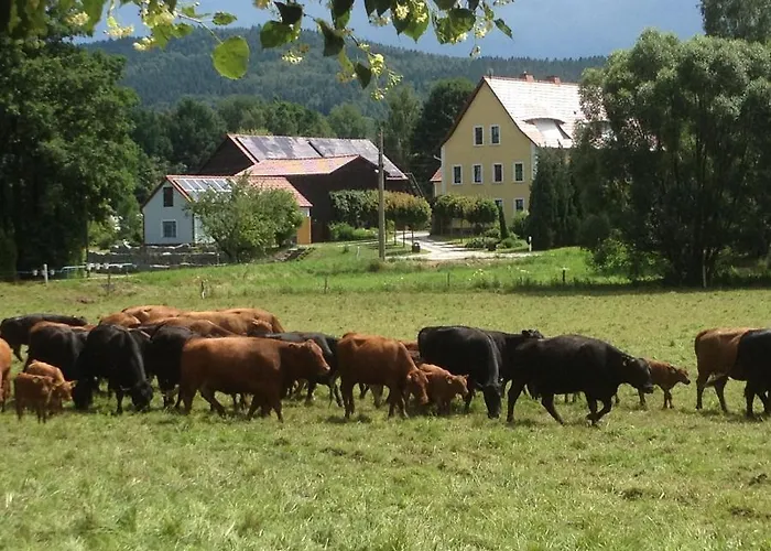 Haflingerstall بيت للعطل *